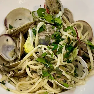 Linguini and Clams