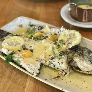 Sea Bream