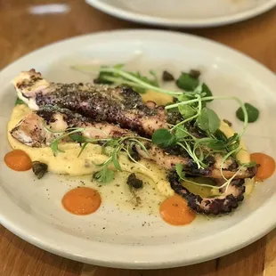 Octopus