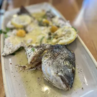 oysters and mussels, oysters, shellfish, food, mussels