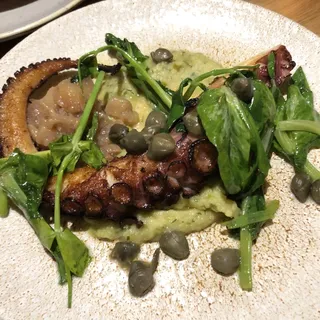 Octopus