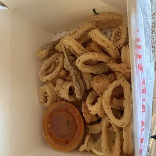Fried Calamari