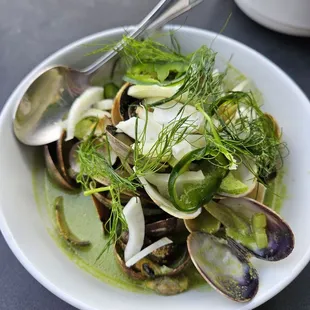 Manila Clams