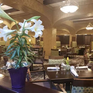 Dining Room 4/24/2019