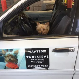Taxi Steve LLC runs 24/7. Do call us at 559-936-5969 Day or night.