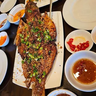 Small catfish, feed2