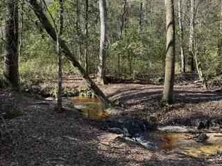 Jennings State Forest