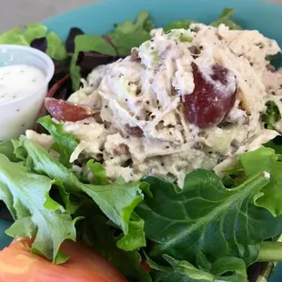 Chicken salad on organic spring greens or on choice of bread $8.99