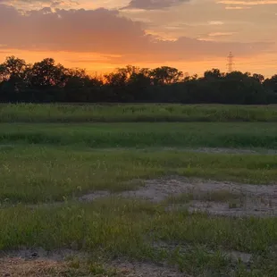 Sunset at Taylor Farm Park