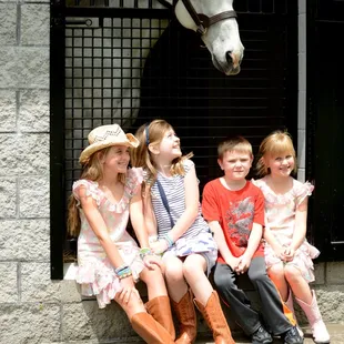 Daily Farm Tours at Taylor Made www.visithorsecountry.com