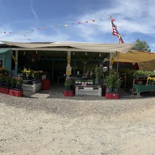 Fresh local produce!