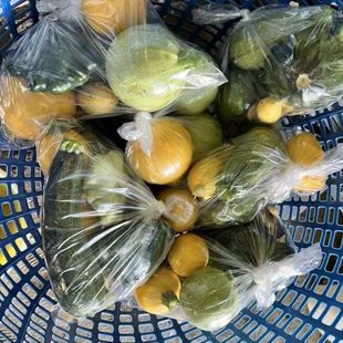 Squash!