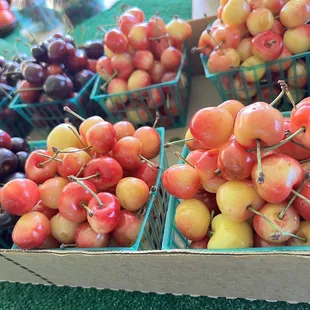 Cherries!