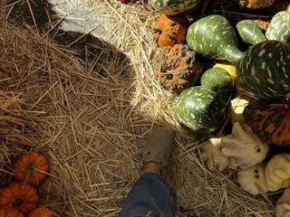 J & J Ramos Farms