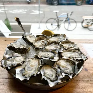 A dozen raw Oysters