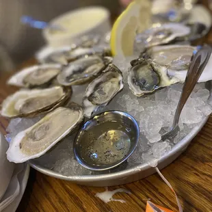 Raw Oyster Platter