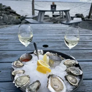 Oysters by the water!