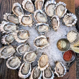 Love oysters