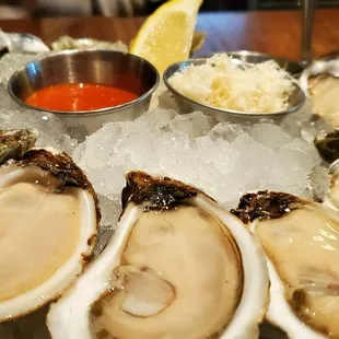 Shuckers Dozen $36