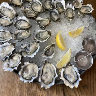 mussels, oysters and mussels, food, oysters, shellfish