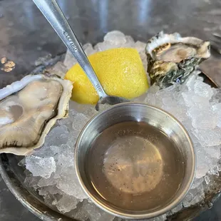 Pacific Petite and Kumamoto oysters at Taylor Shellfish Oyster Bar in Seattle.