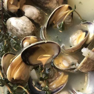 MANILA CLAM STEAMERS