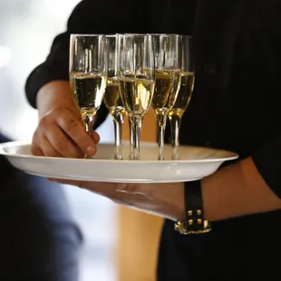 Champagne - Sakacs Wedding (May 16, 2015 - Big Bear, CA)