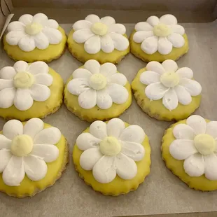 a dozen cupcakes in a box