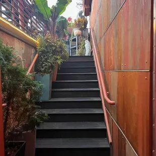 Stairs up to the rooftop