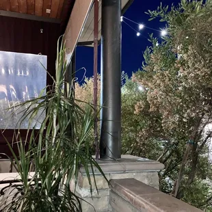 the view from the patio