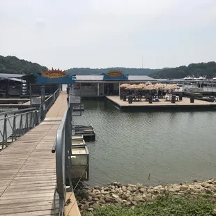 The marina during the good ole' days of summer