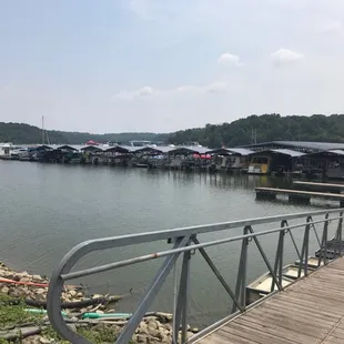 The marina during the good ole' days of summer