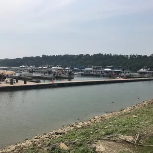 The marina during the good ole' days of summer