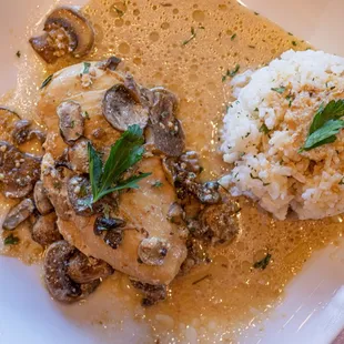 Creamy Lemon Mushroom Chicken w/ rice