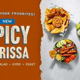 New Spicy Harissa