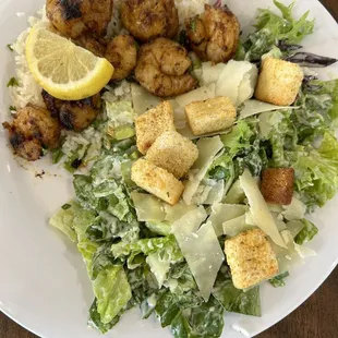 Shrimp