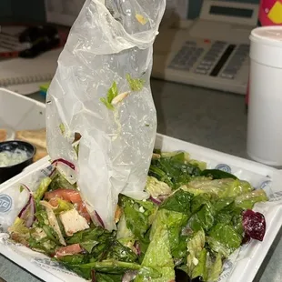 Greek Salad with glove