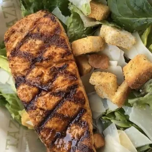 salmon caesar salad