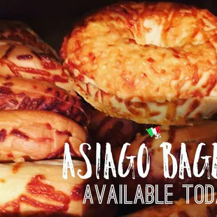 Asiago Bagel