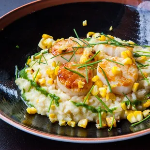 Seasonal Scallops and Risotto