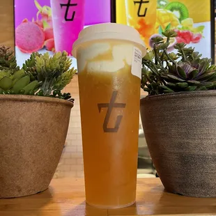 Sea Salt Milk Foam Green Tea