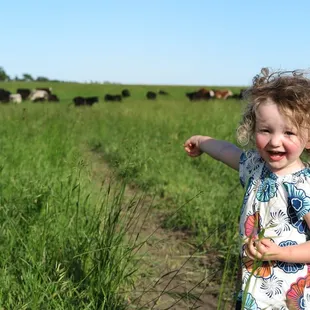 Here is where my cows live...