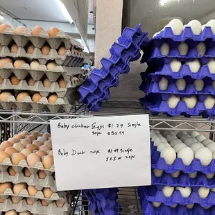 the price is out of my budget!