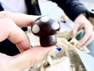 Leonidas Love + Chocolate - Oakland