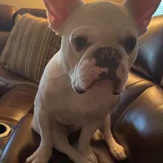 Nancy C.