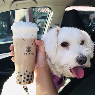 Lychee was tired from hike and wanted some!