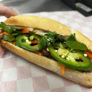a person holding a sub sandwich