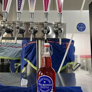 02/04/2023 - elderberry