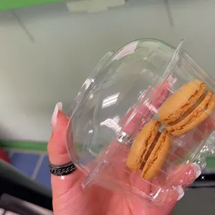  a hand holding a container of macarons