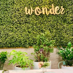 a table and chairs in front of a wall of plants